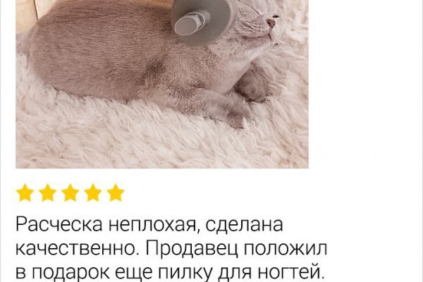 Ссылка на кракен в браузере