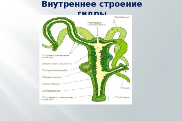 Кракен сайт регистрация