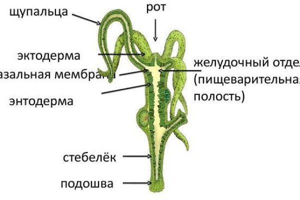 Как зарегистрироваться в kraken