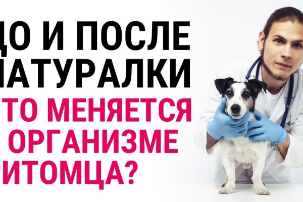 Кракен сайт работает